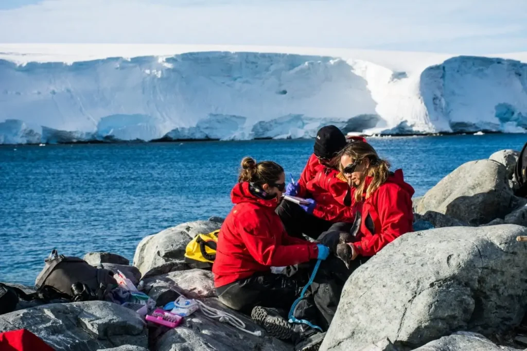 Institucionalidad y proyección para la ciencia antártica