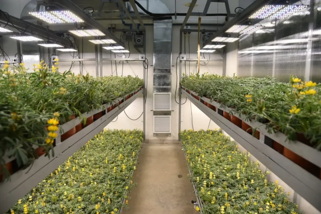Ministro de Ciencia destaca capacidades en La Araucanía para la investigación e innovación en plantas y alimentos