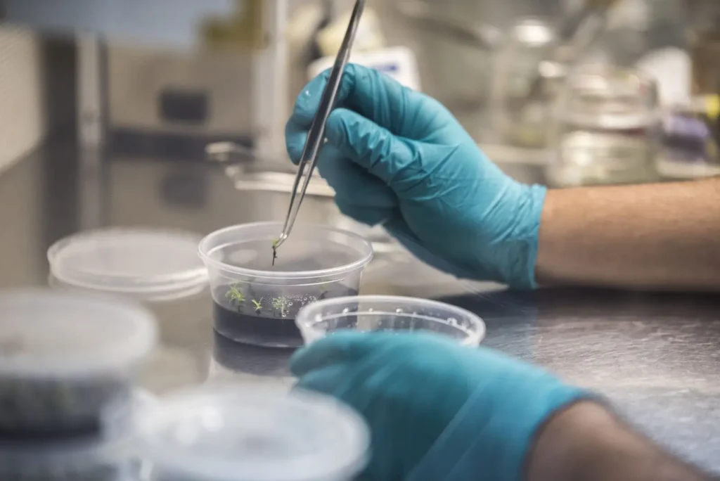 Nuevas pólizas de garantía para StartUp Ciencia en Banco Estado