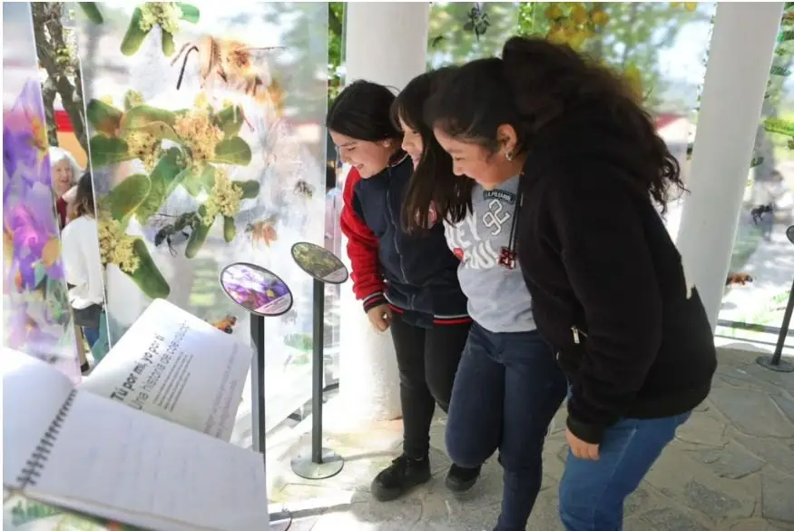 MinCiencia lanza fondos para la realización de eventos públicos de ciencia, tecnología, conocimiento e innovación