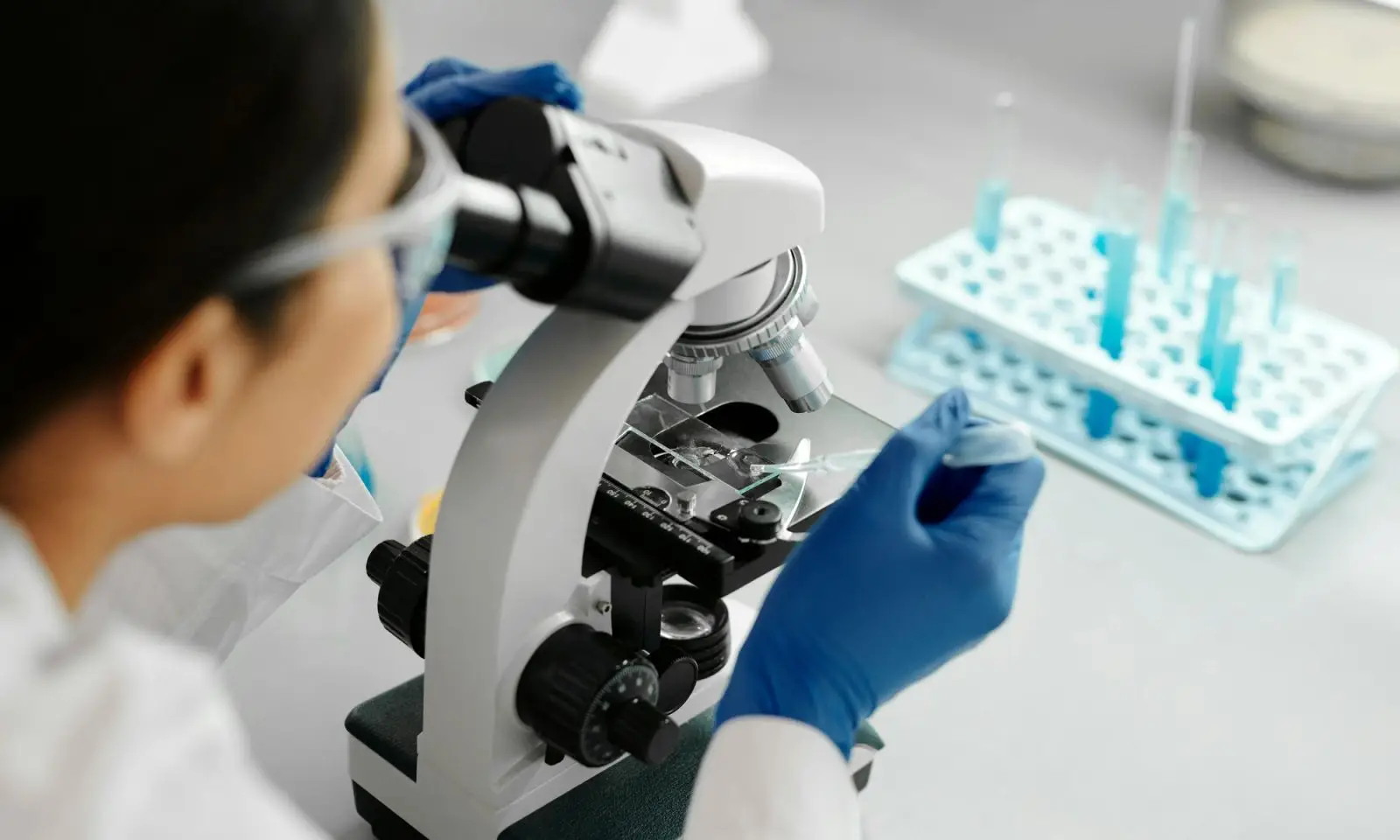 Tres iniciativas de la región de Los Ríos se adjudicaron el programa StartUp Ciencia 2026 de MinCiencia